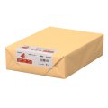 ナ-2467　カラーペーパー　B4　特厚口　白茶　500枚パック（※オンラインストア限定商品）