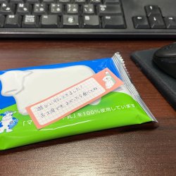 画像2: WN0026　W&N わんにゃんふせん【にゃんこと文房具B】