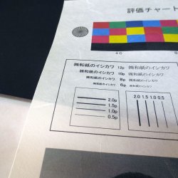 画像2: 大判ロール紙【楮春木紙タイプ】業務用インクジェット対応（914mm×30m巻）