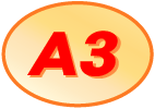 A3