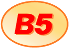 B5