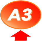 A3