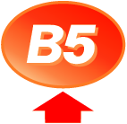 B5