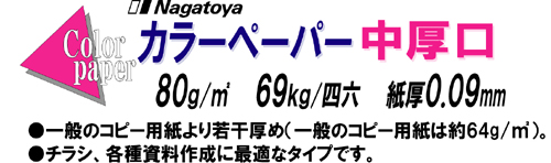 カラーペーパー B5 サイズ 中厚口(80g) 【Nagatoyaオンラインストア 