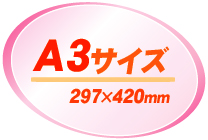カラーペーパー A3 サイズ 中厚口(80g) 【Nagatoyaオンラインストア 