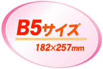 B5サイズ