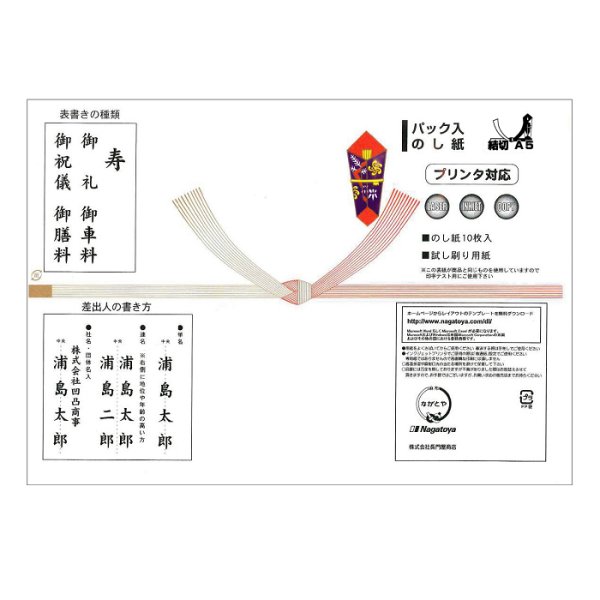 画像1: イ-976　ながとや　パック入のし紙　結切10本　A5判　10枚 (1)