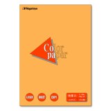 【送料無料】ソナポケ 掲載ページ（約A3サイズ）#6899 送料無料】ソナポケ 掲載ページ（約A3サイズ）#6899