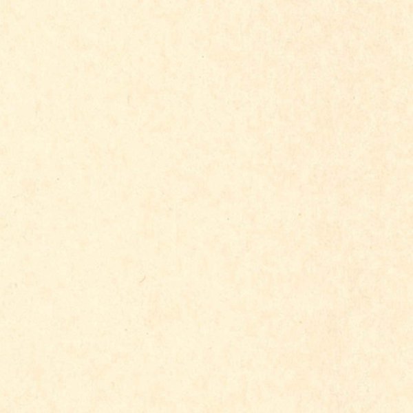 画像3: インクジェット専用和紙 汎紙苑(パンシオン)生成 A4 10枚入 LP32 (3)