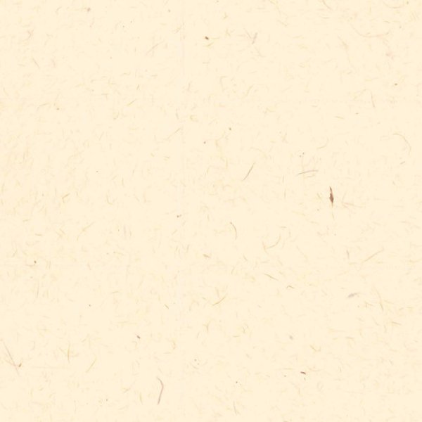 画像2: インクジェット専用和紙 耳付きはがき 杉皮 5枚入 PA04 (2)