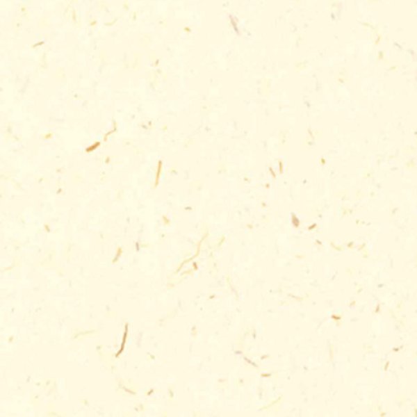 画像3: インクジェットでつくる 耳付きはがき 月桃 A4 3枚入（99×142.5mm×4面・計12片） PD03 (3)