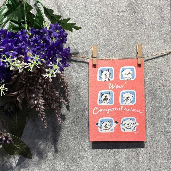 画像2: WN0001 W&N ポストカード(congratulations) (2)